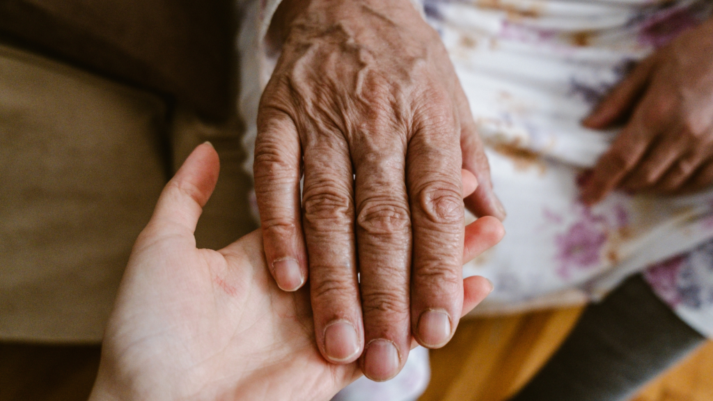 Open-Arms-Personal-Care-Norfolk-VA-Our-Services.webp